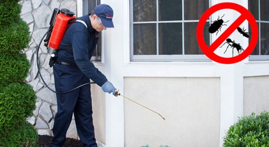 Aslanapa Böcek İlaçlama böcek ilaçlama ve haşere kontrolü — ilaclama-tr.com